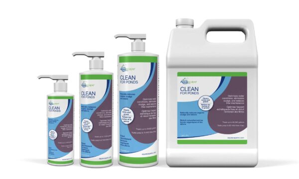 Clean family